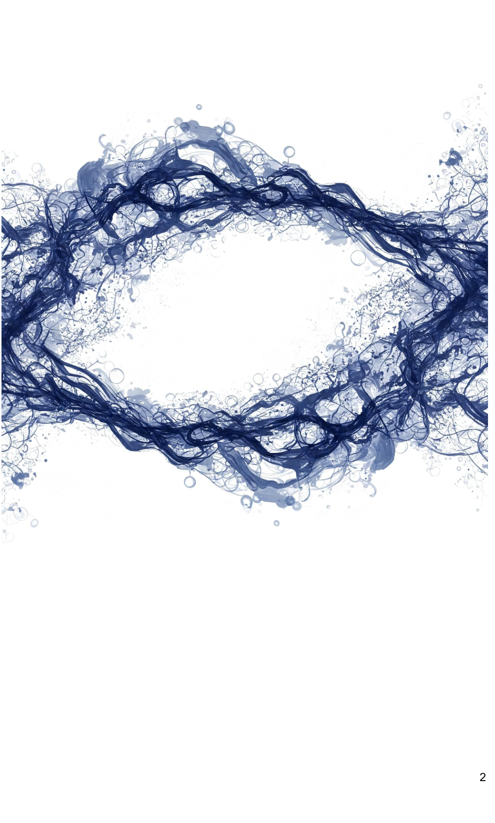 fig_p2_1.png