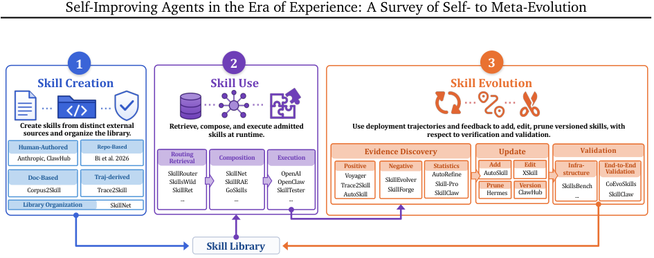 Figure 4 | External skill lifecycle used in this chapter. Skill Creation adds externally produced skills to the bank; Skill Use organizes, retrieves, composes, and executes the current bank; Skill Evolution converts compiled deployment experience into updates, producing an updated bank 𝑆 𝑡 + 𝑖 for the next use cycle.