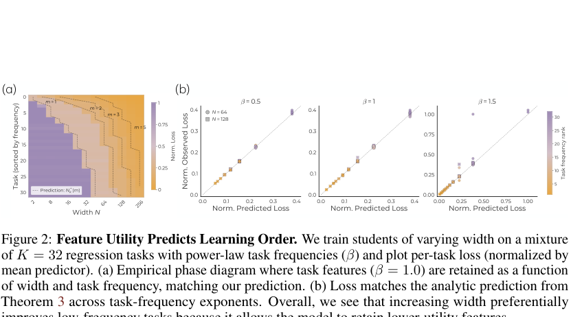 Figure 2: Feature Utility Predicts Learning Order. We train students of varying width on a mixture of K = 32 regression tasks with power-law task frequencies (β) and plot per-task loss (normalized by mean predictor). (a) Empirical phase diagram where task features (β = 1. 0) are retained as a function of width and task frequency, matching our prediction. (b) Loss matches the analytic prediction from Theorem 3 across task-frequency exponents. Overall, we see that increasing width preferentially improves low-frequency tasks because it allows the model to retain lower-utility features.