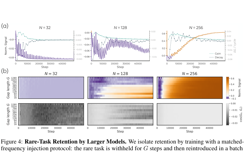 Figure 4: Rare-Task Retention by Larger Models. We isolate retention by training with a matchedfrequency injection protocol: the rare task is withheld for G steps and then reintroduced in a batch such that its overall frequency is consistent across settings. (a) Training dynamics for G = 1280. We see small models briefly encode the rare task (Norm. signals̃ r: left-y axis) after each injection; specifically, ∆˜ s r increases at point of injection, as shown by green dotted line ('gain'). However, as frequent-task updates resume, this signal is lost between injection steps ('decay': gray dotted line). Meanwhile, larger models retain more of the rare-task signal between injections and accumulate it over training. (b) Across injection gaps G and widths N, rare-task signal decays rapidly in narrow models but remains stable in wider models, while frequent-task signal is largely unaffected. Furthermore, by computing the cosine similarity of gradients via a batch of rare-task samples G r and frequent task samples G F, we see scaling provides enough representational capacity such that updates from frequent tasks no longer overwrite rare-task features before the next rare observation arrives.